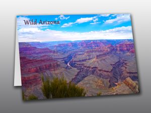 Grand Canyon and Colorado River - Moment of Perception Photography