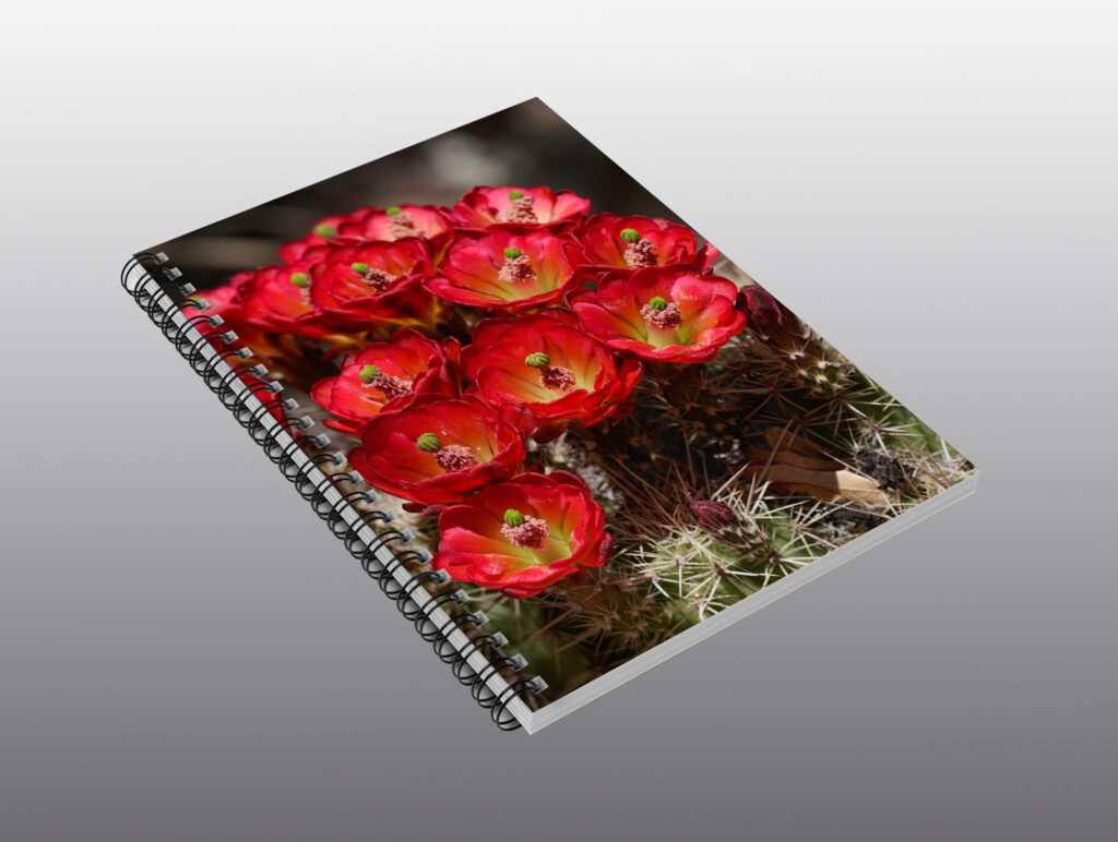 Spiral Notebook Scarlet Hedgehog Cactus Flowers Moment Of