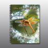 Smiling Dragonfly Valentine Notebook - Moment of Perception Photography