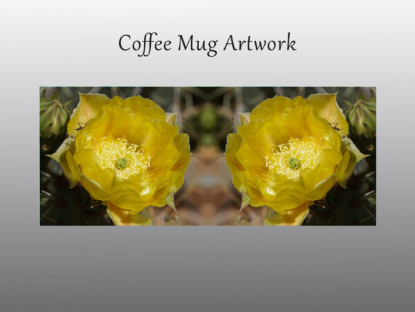Yellow cactus flower - Moment of Perception Photography