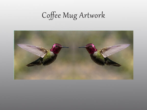 hummingbird in flight - Moment of Perception Photography