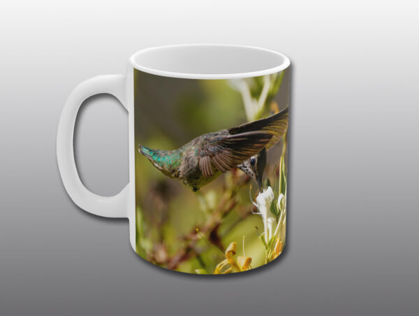 hummingbird and honeysuckle - Moment of Perception Photography