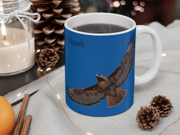 Hawk in flight - Moment of Perception Photography