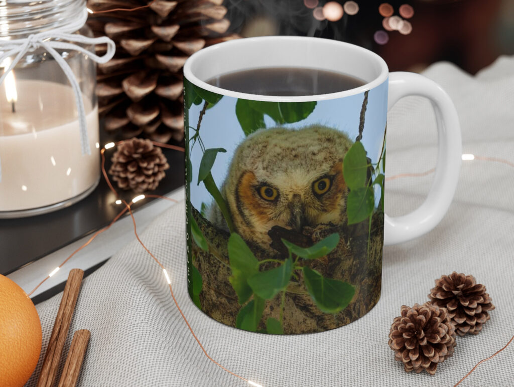 Coffee Mugs – Great Horned Owlet – I See You – Moment of Perception ...