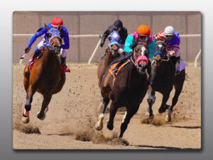 Horses Racing - Moment of Perception Photography