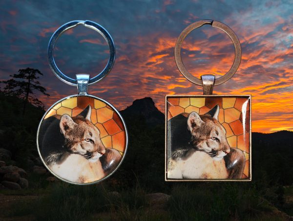 Mountain Lion Key Chain - Moment of Perception Photography