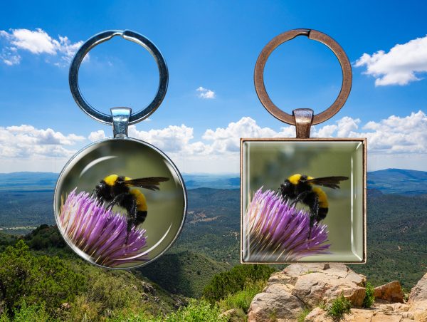 Sonoran Bumble Bee - Moment of Perception Photography