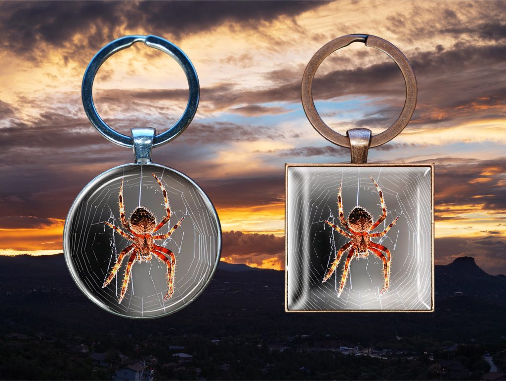 Spirit Animal Key Chain – Weaver Spider – Moment of Perception Photography