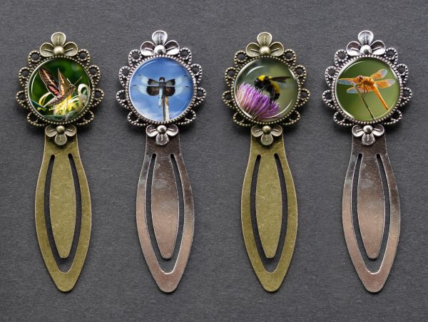 Dragonfly, Skimmer, Sonoran Bumble Bee, Sphinx Moth - Moment of Perception Photography