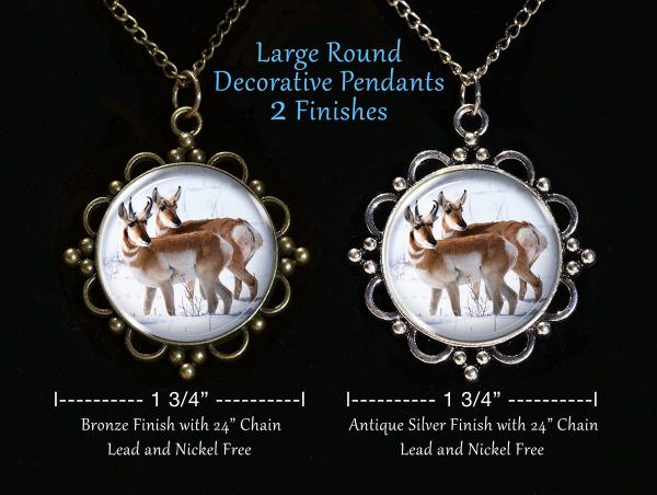 pronghorn jewelry - Moment of Perception Photography