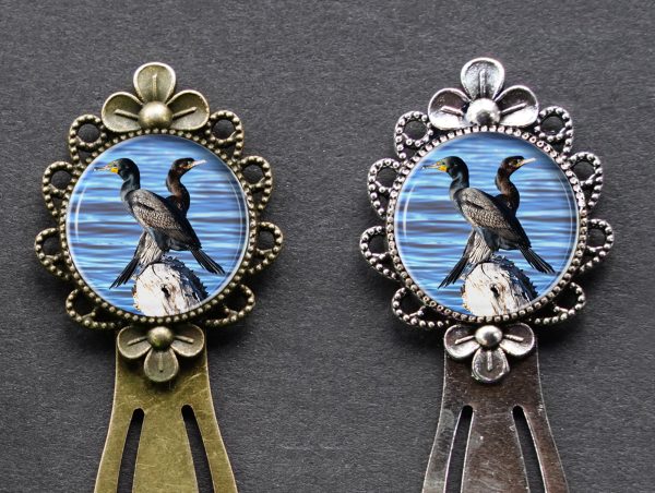 Double Crested Cormorants - Moment of Perception Photography