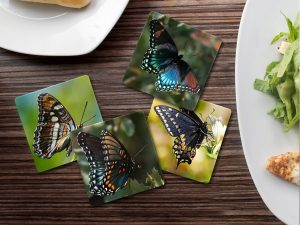 Butterflies - Moment of Perception Photography