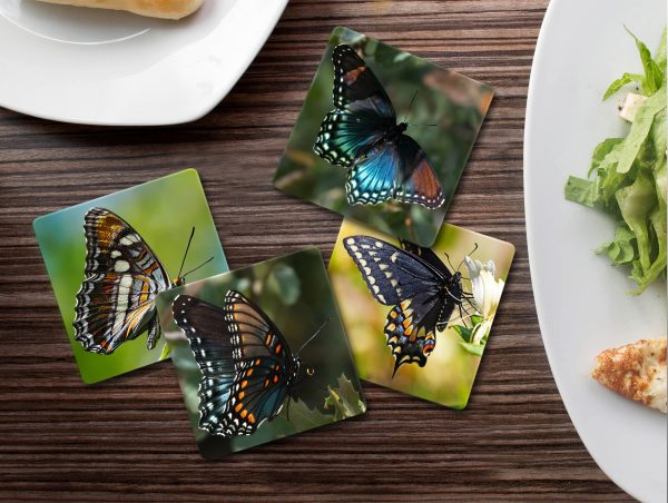 Butterflies - Moment of Perception Photography