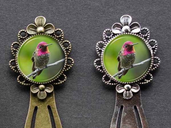 Annas hummingbird - Moment of Perception Photography