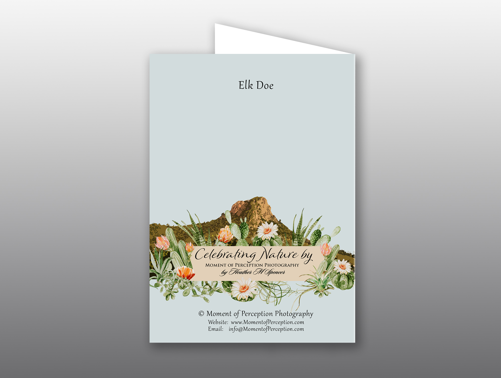 Elk-Doe-in-Snow-Arizona-Back Doe Elk in Snow - Moment of Perception Photography