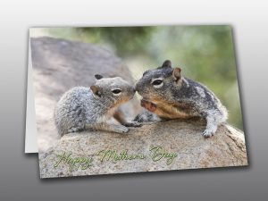 Rock Squirrel Mom and Baby - Moment of Perception Photography