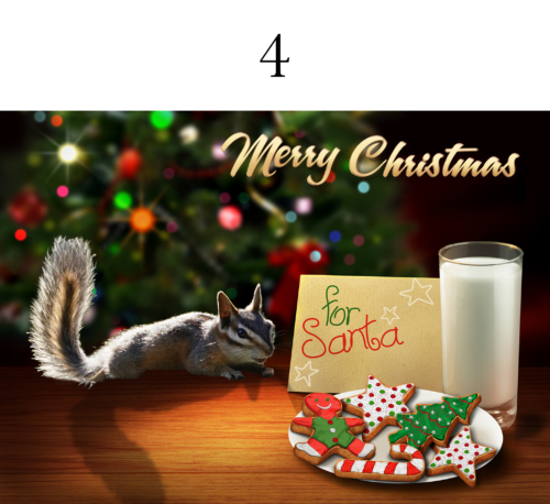 Chipmunk Christmas 5x7