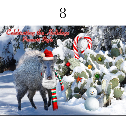 Javelina Christmas 5x7