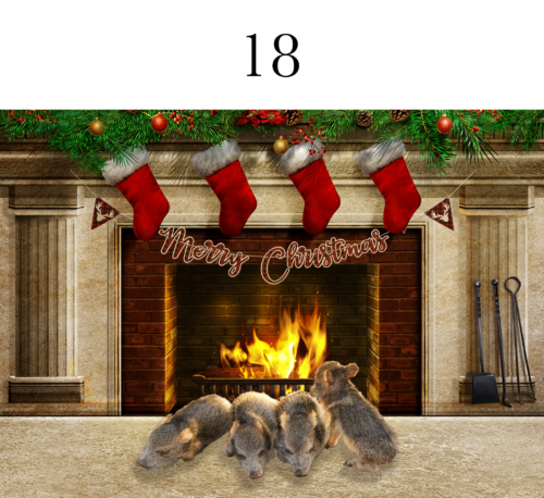 Pigling Christmas