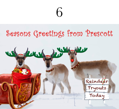 Pronghorn Christmas 5x7