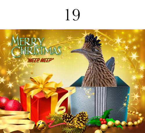 Roadrunner Christmas