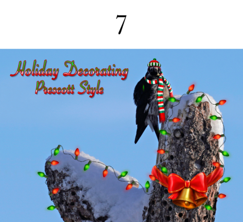 Woodpecker Christmas 5x7