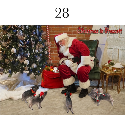 Javelina Piglings with Santa
