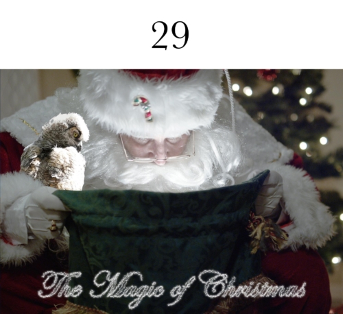 Great Horned Owlet with Santa