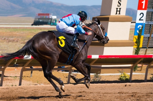 Race Horse Crossing the Finish Line -Moment of Perception Photography
