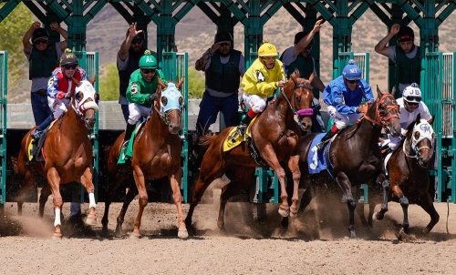 Race Horses leaving the Gate -Moment of Perception Photography