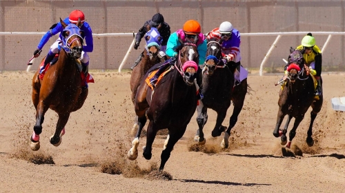 Race Horses on the Final Turn -Moment of Perception Photography
